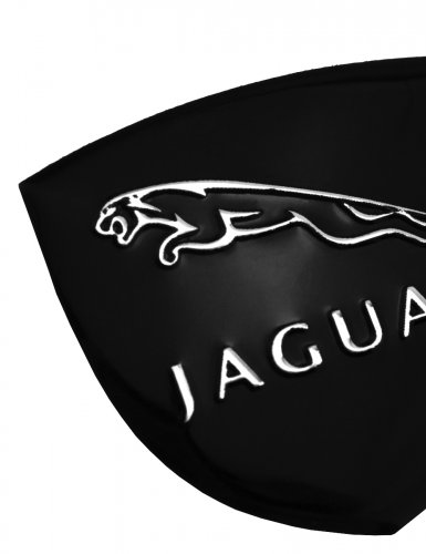 Эмблема для Jaguar герб 35х35 мм. алюминиевая - фото фото 5