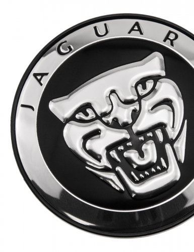 Колпачки на диски для Jaguar - фото фото 4