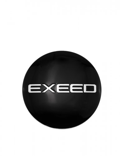 Колпачок на диск для Exeed - фото фото 6